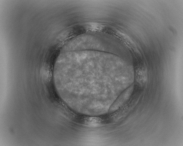 X0000115290324200912141101