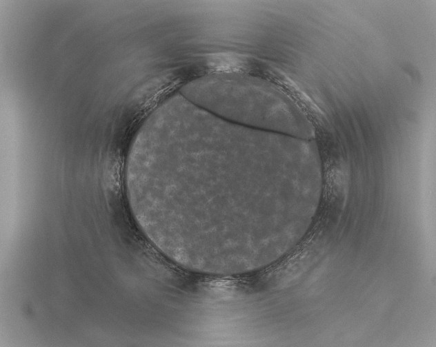 X0000115290325200912141101