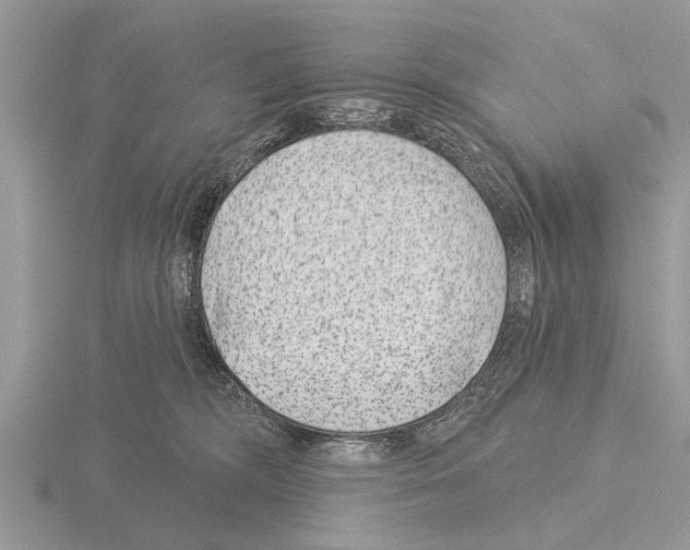 X0000115290326200912141101