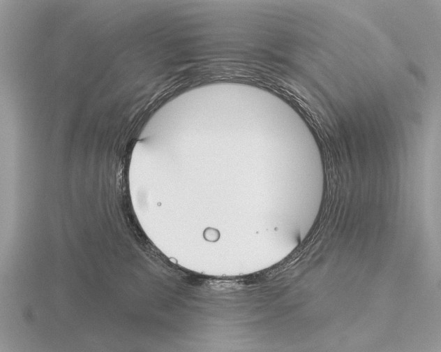 X0000115290327200912141101