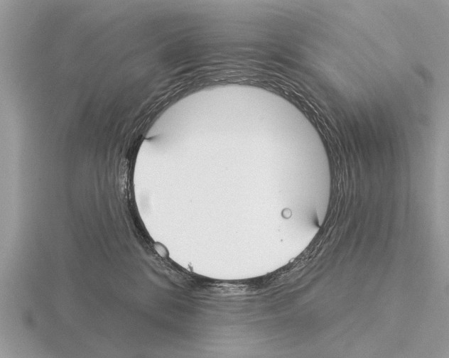 X0000115290328200912141101