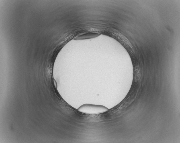 X0000115290329200912141101