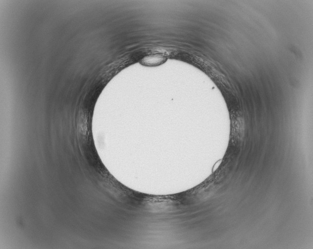 X0000115290331200912141101