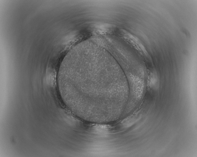 X0000115290332200912141101