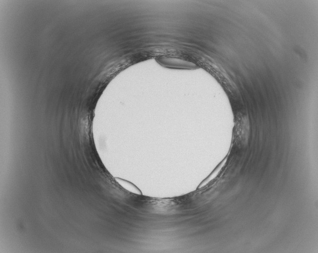 X0000115290333200912141101