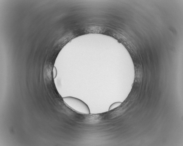 X0000115290334200912141101