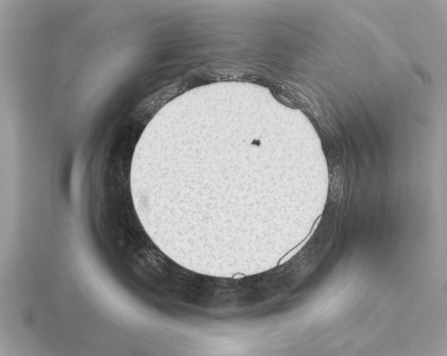 X0000115290335200912141101