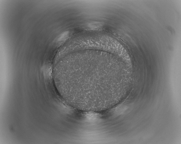 X0000115290336200912141100