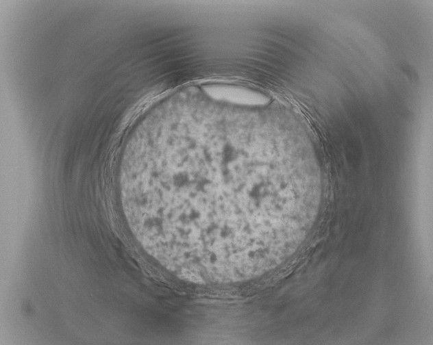 X0000115290337200912141100