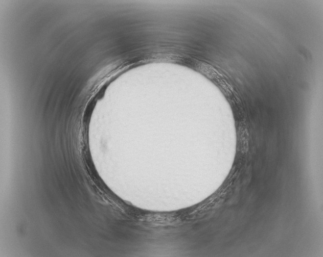 X0000115290338200912141100