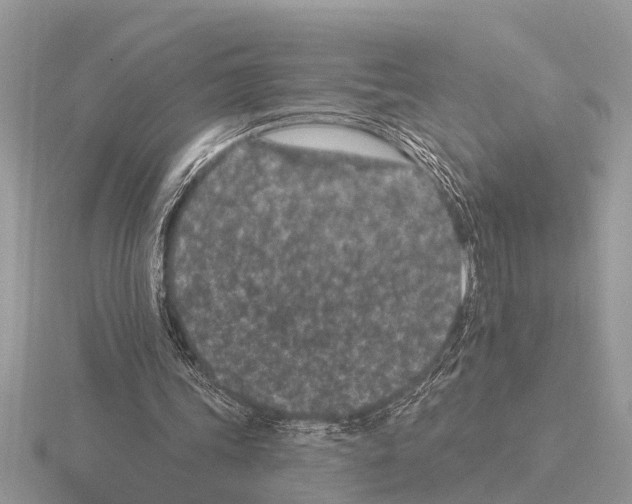 X0000115290339200912141100