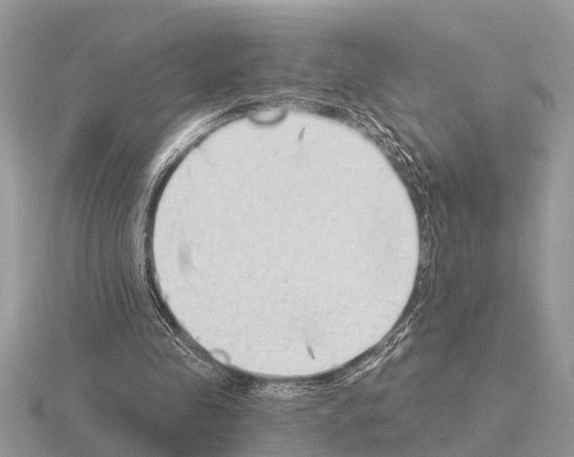 X0000115290341200912141100