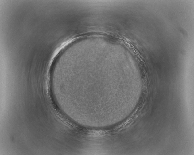 X0000115290342200912141100