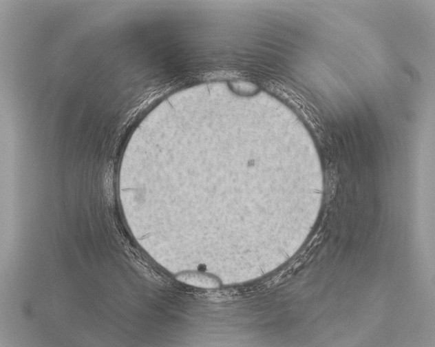 X0000115290345200912141100