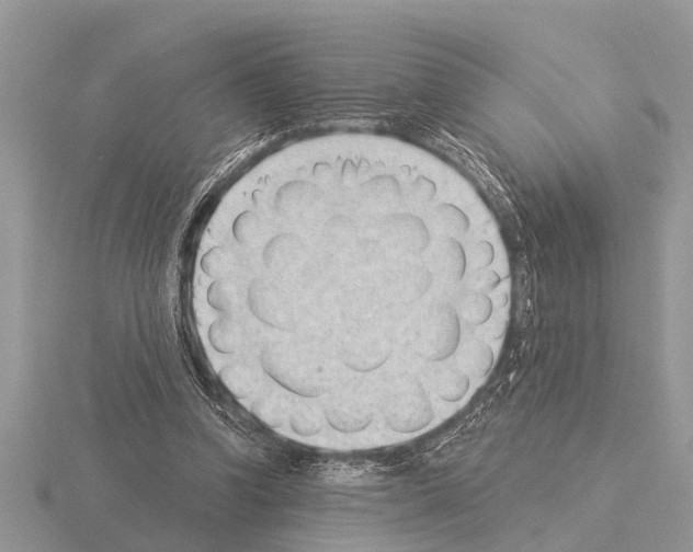 X0000115290346200912141100