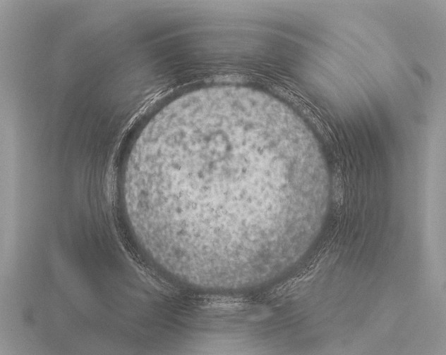 X0000115290347200912141100