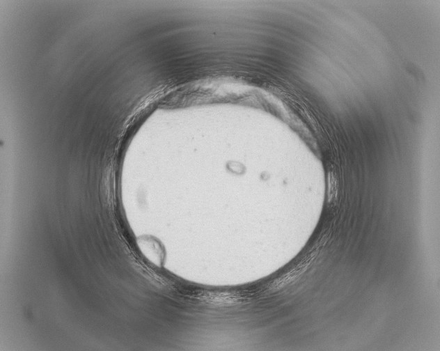 X0000115290349200912141100