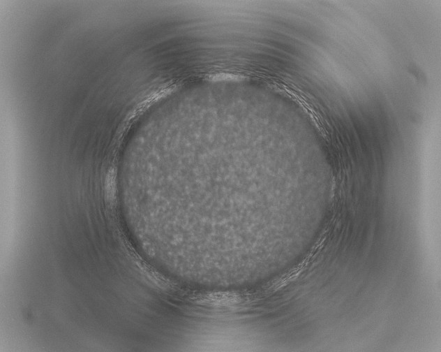 X0000115290353200912141100