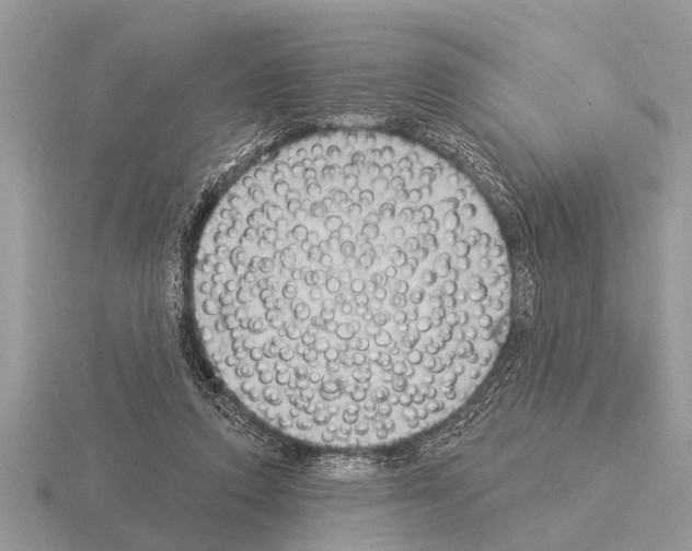 X0000115290354200912141100