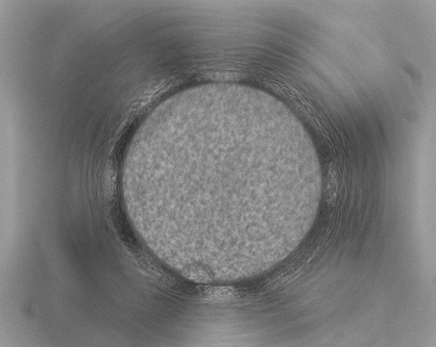 X0000115290355200912141100