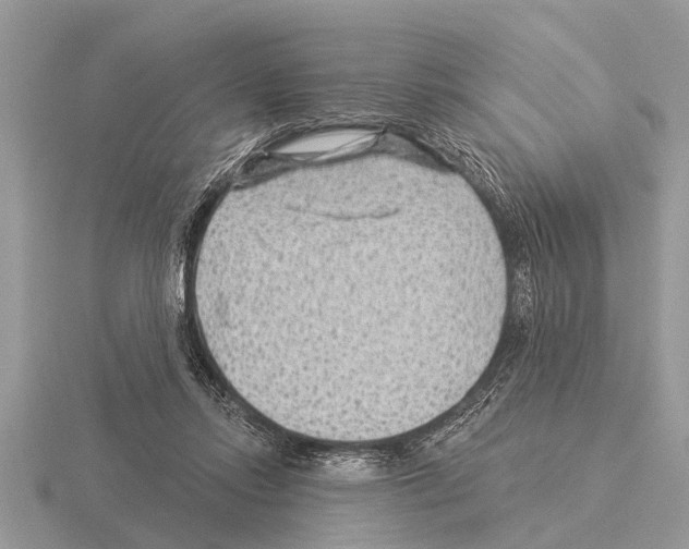 X0000115290358200912141100