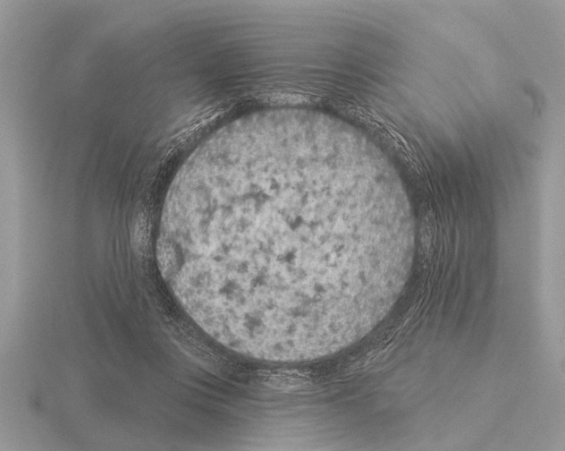 X0000115290359200912141100