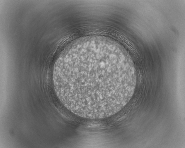 X0000115290361200912141100