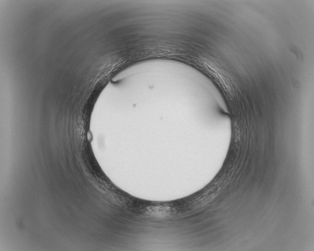 X0000115290362200912141100