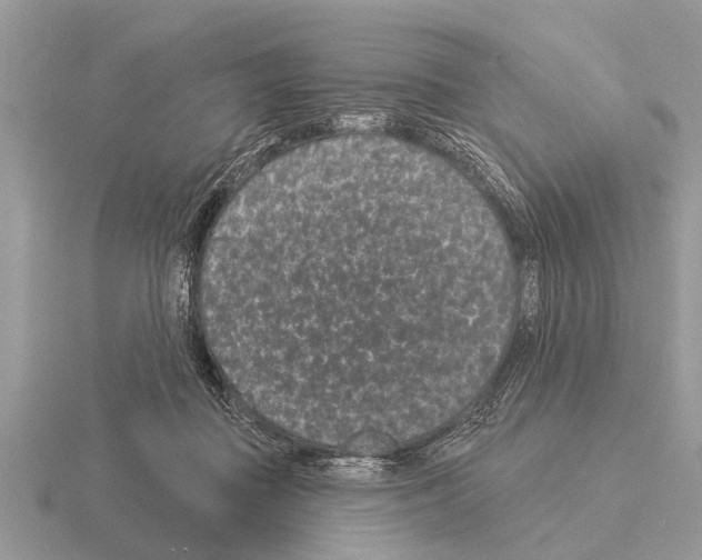 X0000115290363200912141100