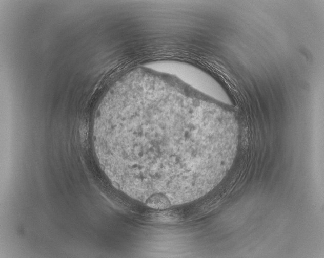 X0000115290365200912141100