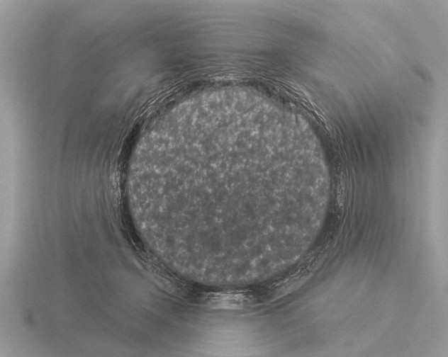 X0000115290366200912141100