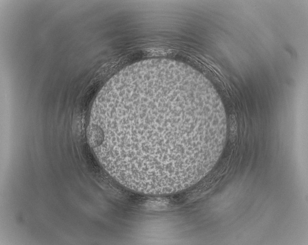 X0000115290369200912141100