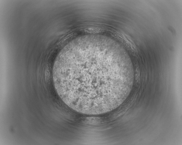 X0000115290371200912141100