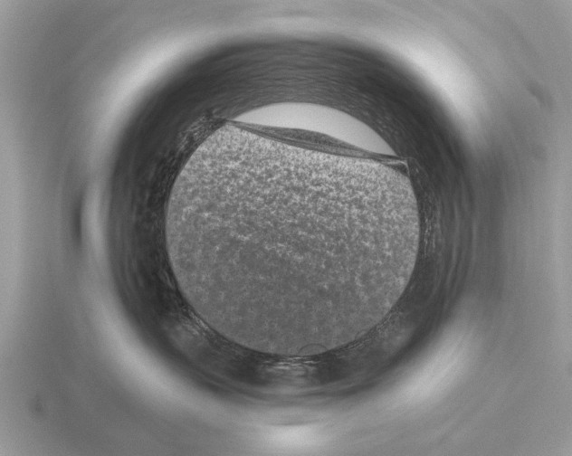 X0000115290383200912141100