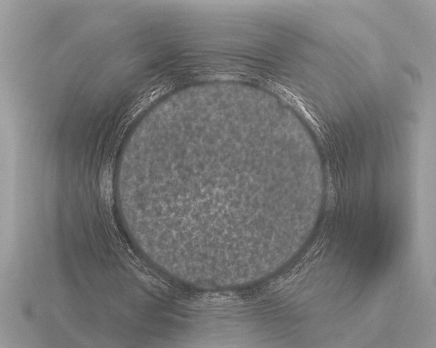 X0000115290386200912141100