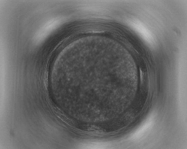 X0000115290387200912141100