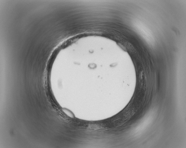 X0000115290388200912141100