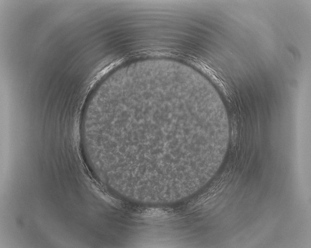 X0000115290390200912141100