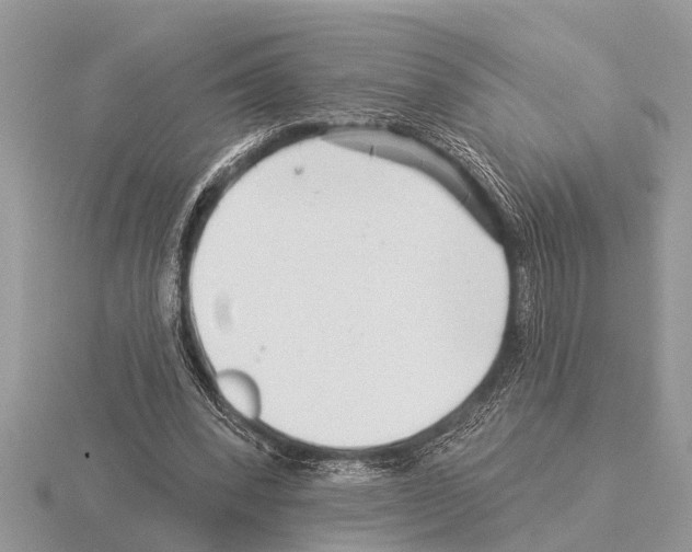 X0000115290392200912141100