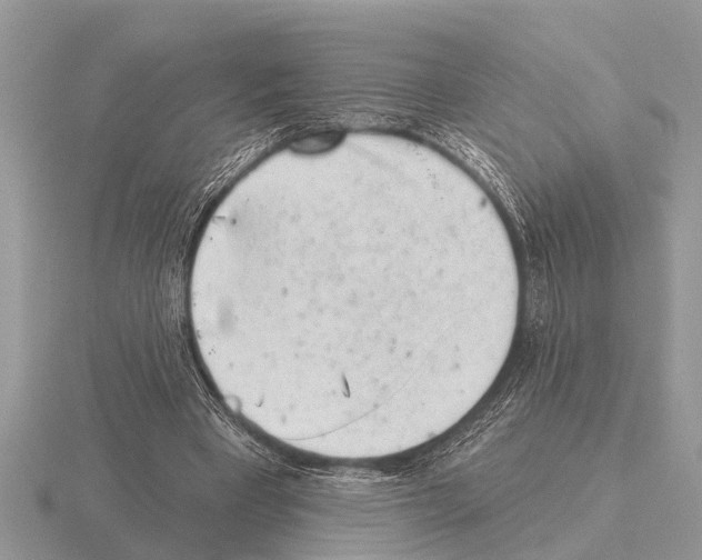 X0000115290393200912141100