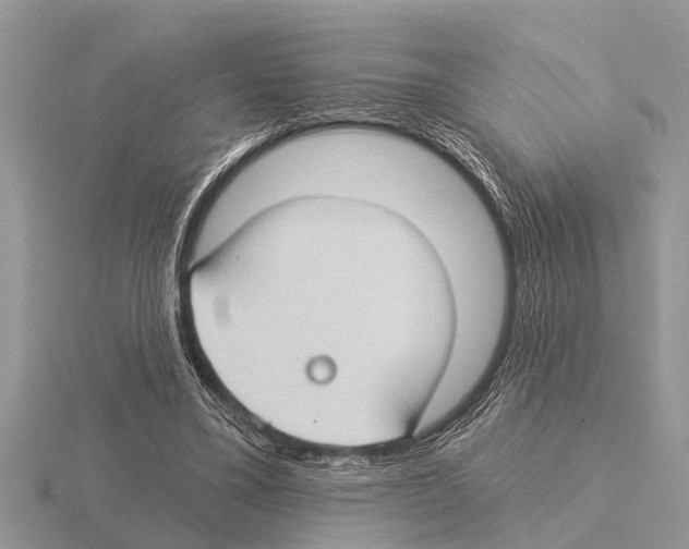 X0000115290395200912141100