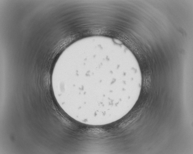 X0000115290397200912141100