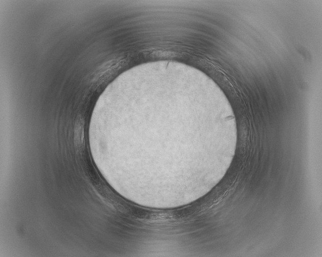 X0000115290398200912141100