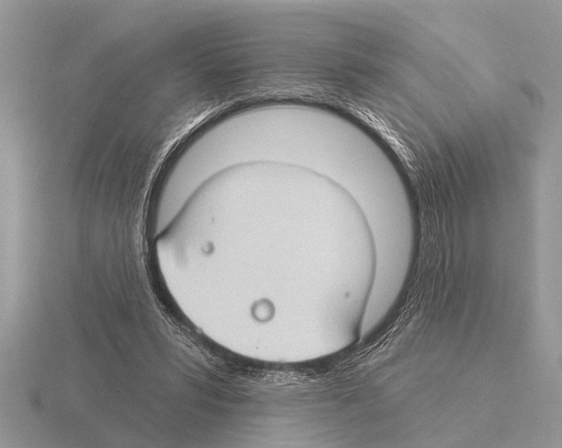 X0000115290399200912141100