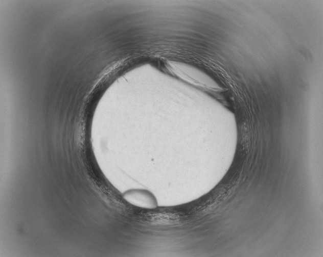 X0000115290400200912141100