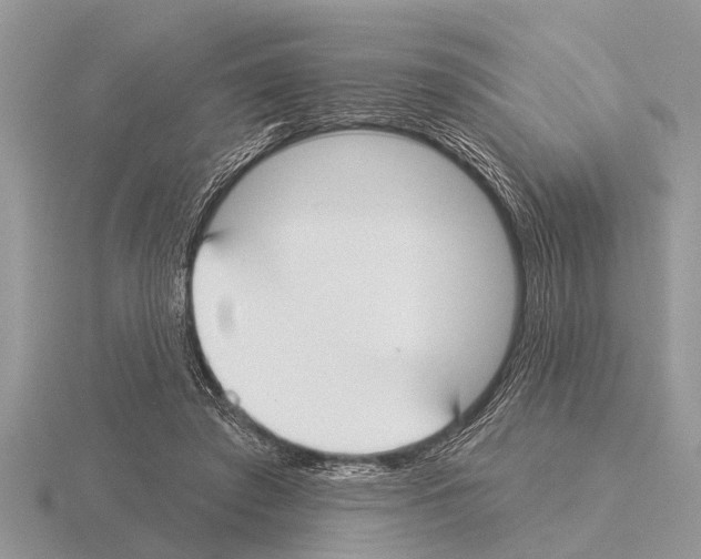 X0000115290401200912141100