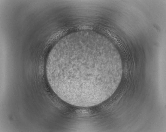 X0000115290402200912141100