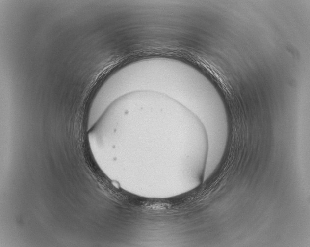 X0000115290407200912141100