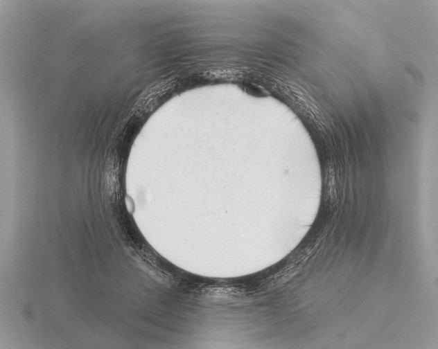 X0000115290408200912141100