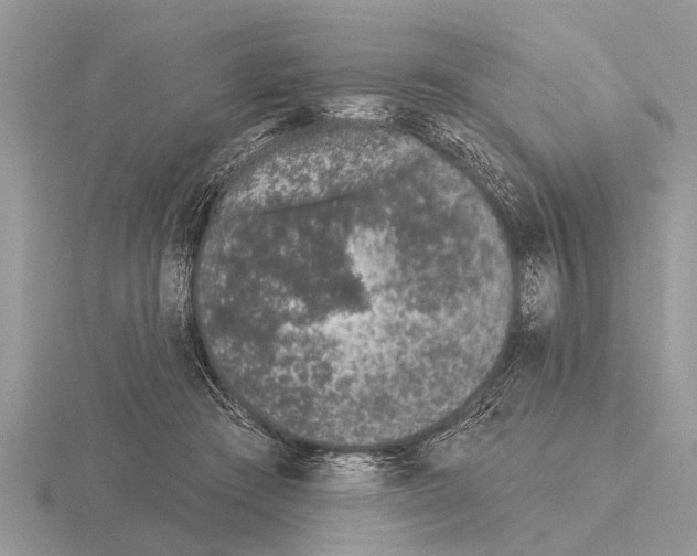 X0000115290409200912141100